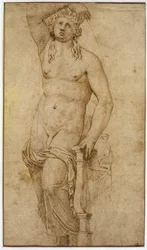 Apollo